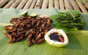 Con đặc sản “nhìn đã thấy sợ” ở Tây Bắc xưa không ai ngó, nay thành món ăn được dân nhậu mê tít săn lùng- Ảnh 7.