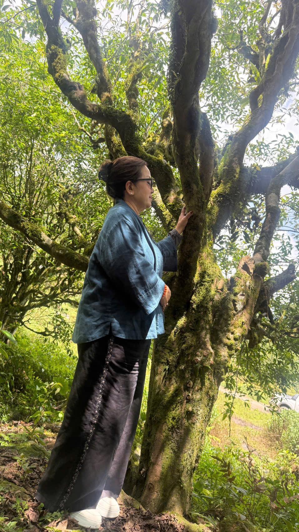 Lắng tâm cùng trà sư - Ảnh 5.