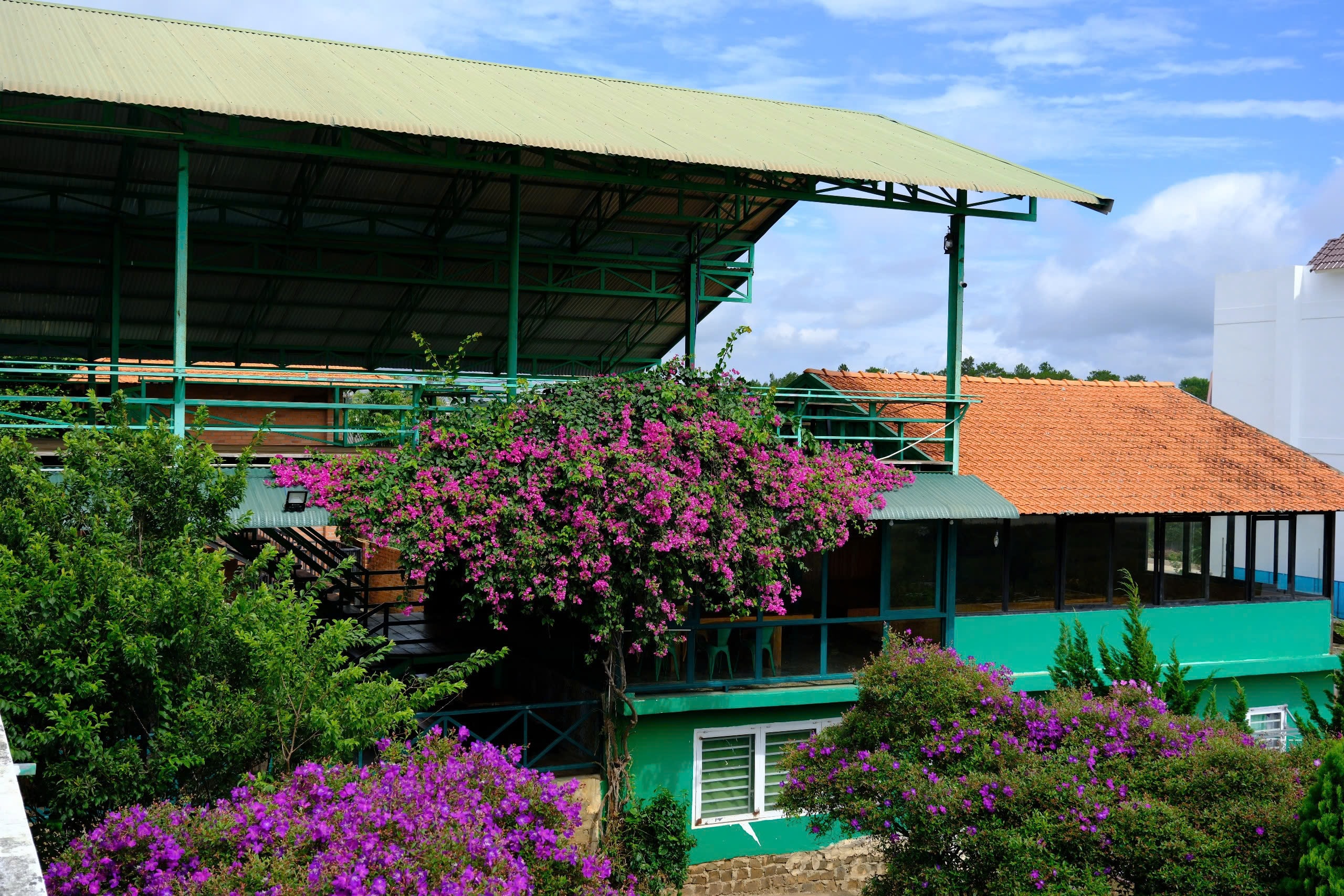 Tà Hine Café - Điểm bình yên trên đường thiên lý - Ảnh 5.
