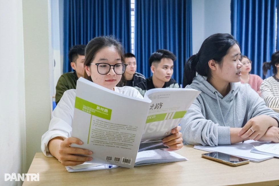 Nữ trưởng phòng lương cao đột ngột nghỉ việc để đi học tiếng Trung - 3 Nữ trưởng phòng lương cao đột ngột nghỉ việc để đi học tiếng Trung - 3