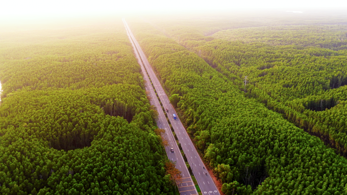 Một góc đường Rừng Sác băng qua rừng ngập mặn Cần Giờ