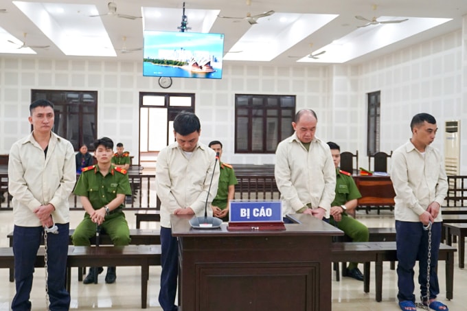 Bốn bị cáo tại phiên xét xử. Ảnh: Anh Chi