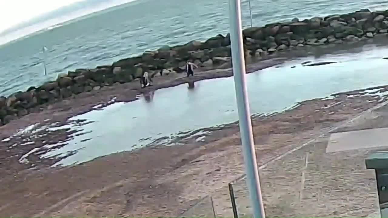 Hai mẹ con mắc kẹt trong hố cát sâu ngang thắt lưng trên bãi biển Anh