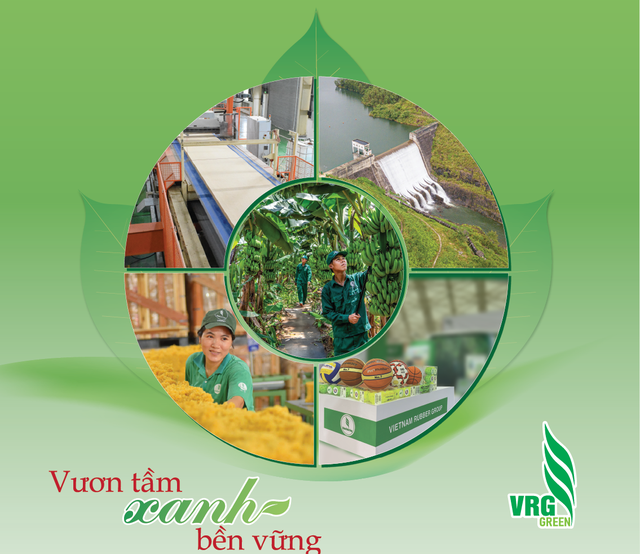 Tinh gọn bộ máy VRG 2026: Đổi mới và nâng cao hiệu quả phát triển kinh tế - Ảnh 4.