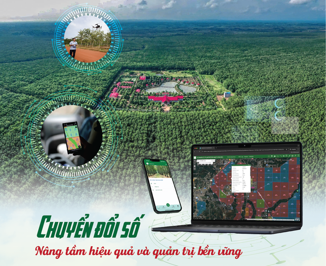 Tinh gọn bộ máy VRG 2026: Đổi mới và nâng cao hiệu quả phát triển kinh tế - Ảnh 5.