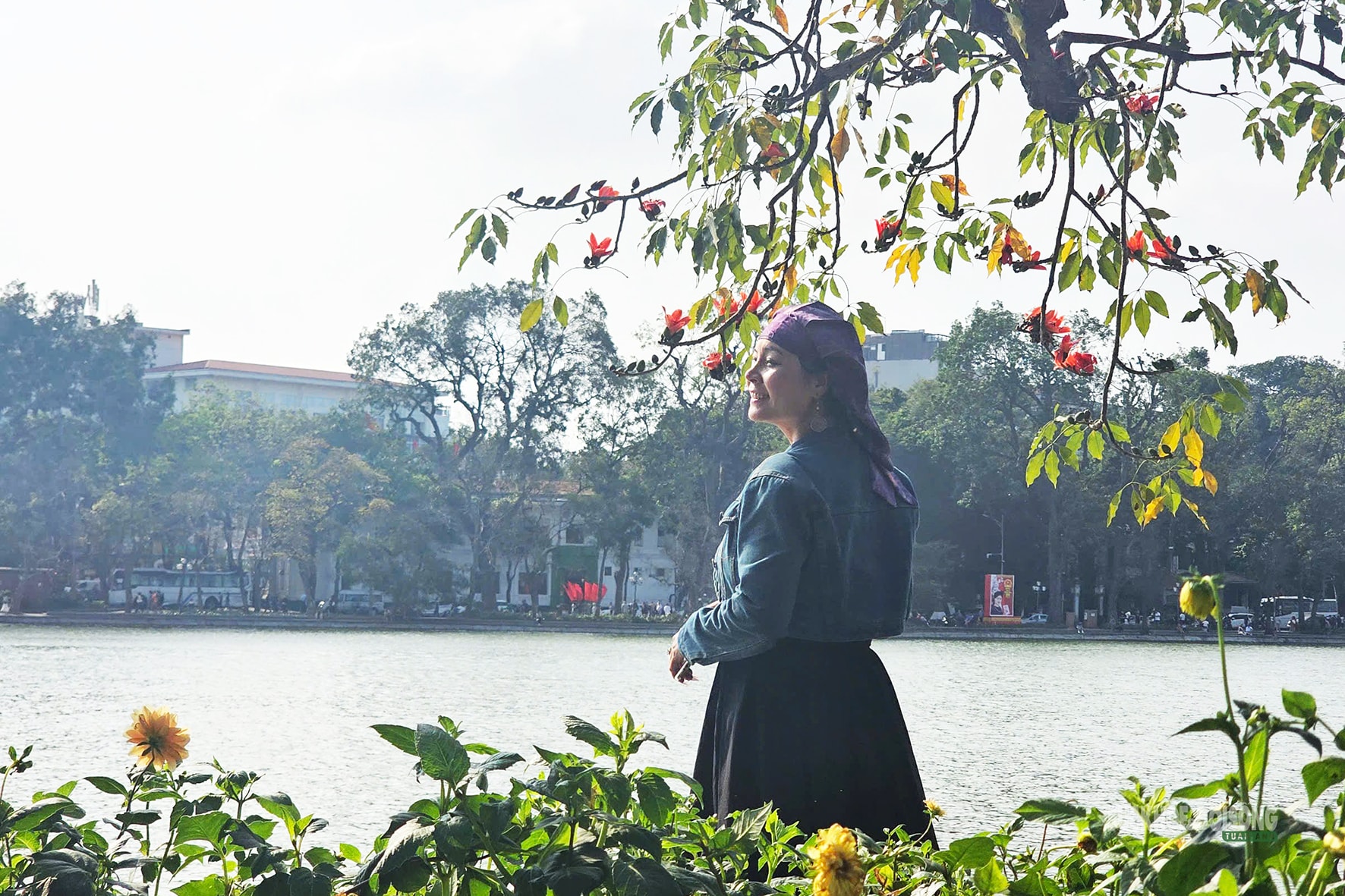 Hồ Gươm bừng đỏ mùa hoa gạo- Ảnh 9.