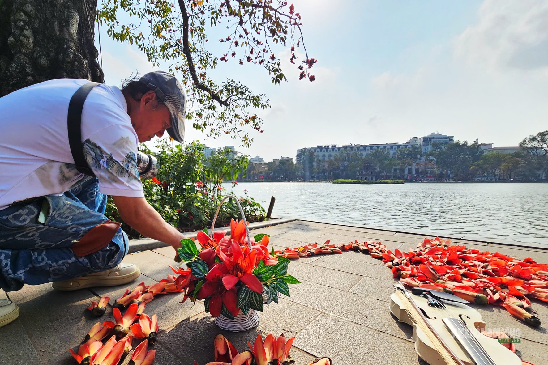 Hồ Gươm bừng đỏ mùa hoa gạo- Ảnh 5.
