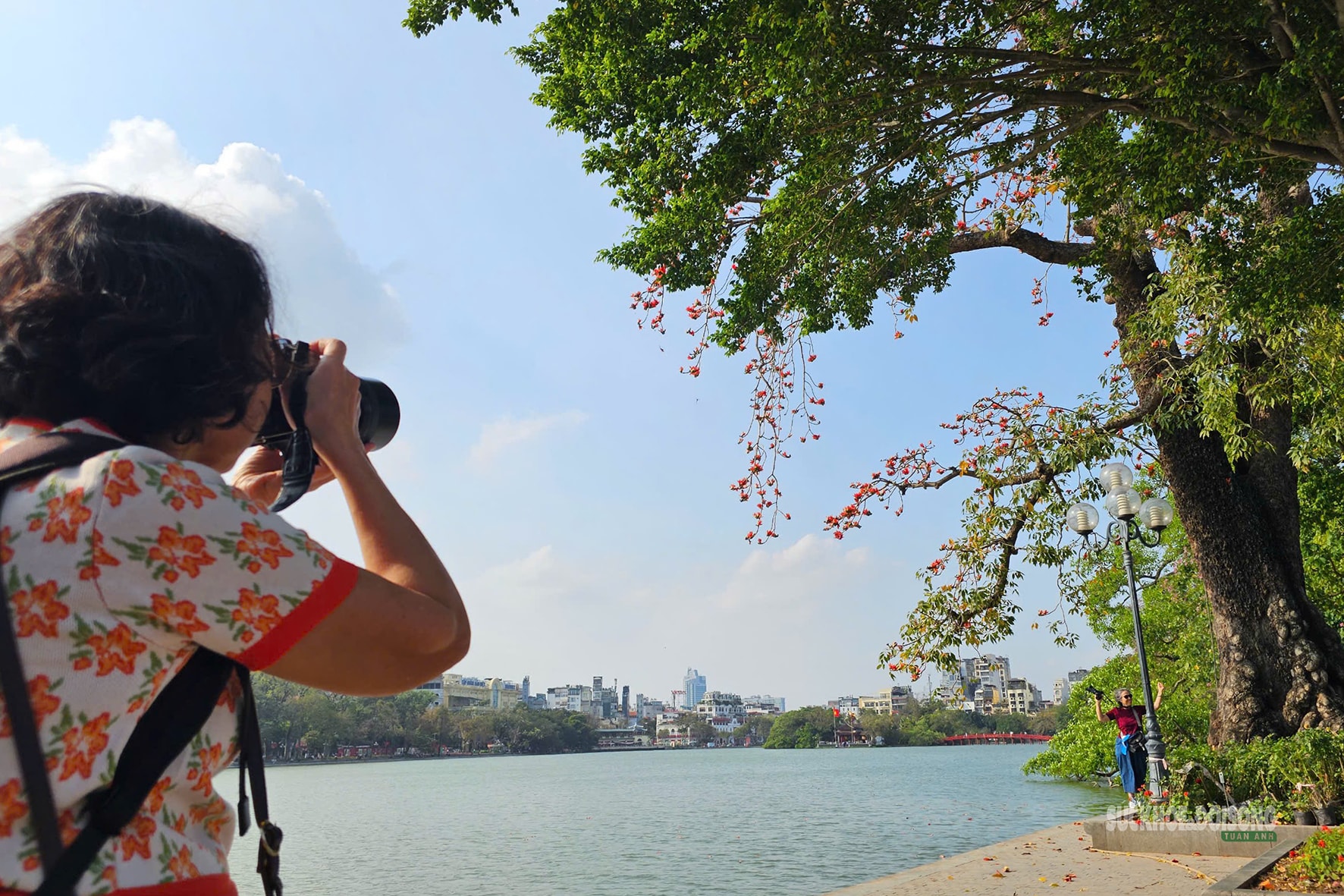 Hồ Gươm bừng đỏ mùa hoa gạo- Ảnh 8.