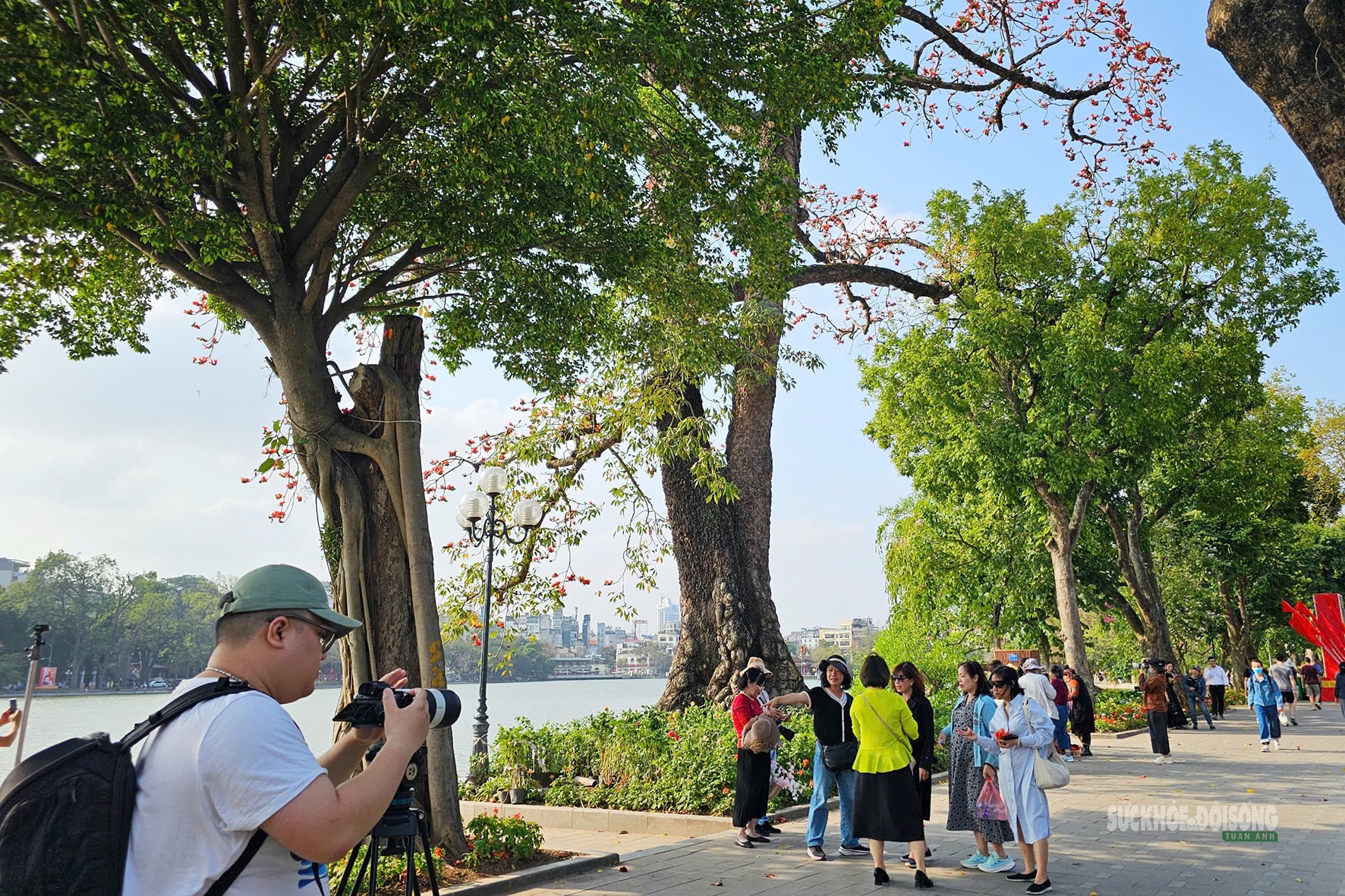 Hồ Gươm bừng đỏ mùa hoa gạo- Ảnh 2.
