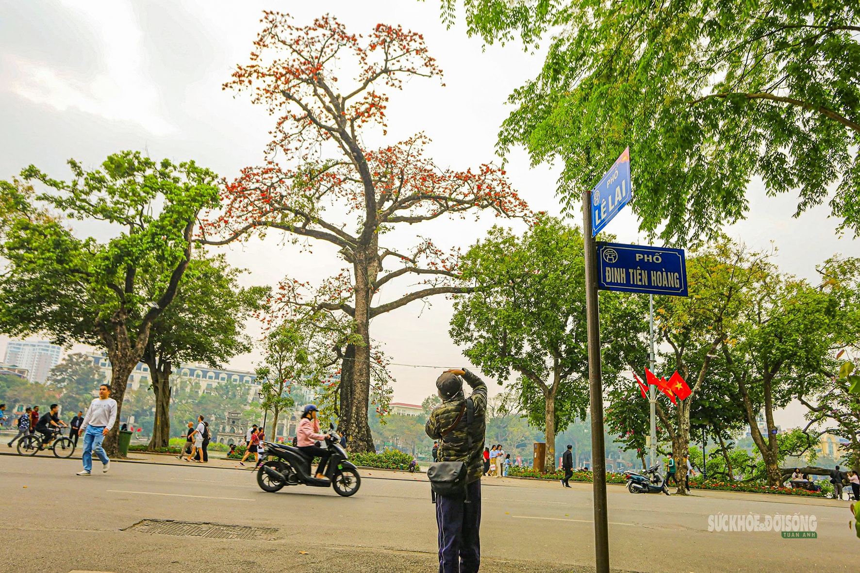 Hồ Gươm bừng đỏ mùa hoa gạo- Ảnh 1.
