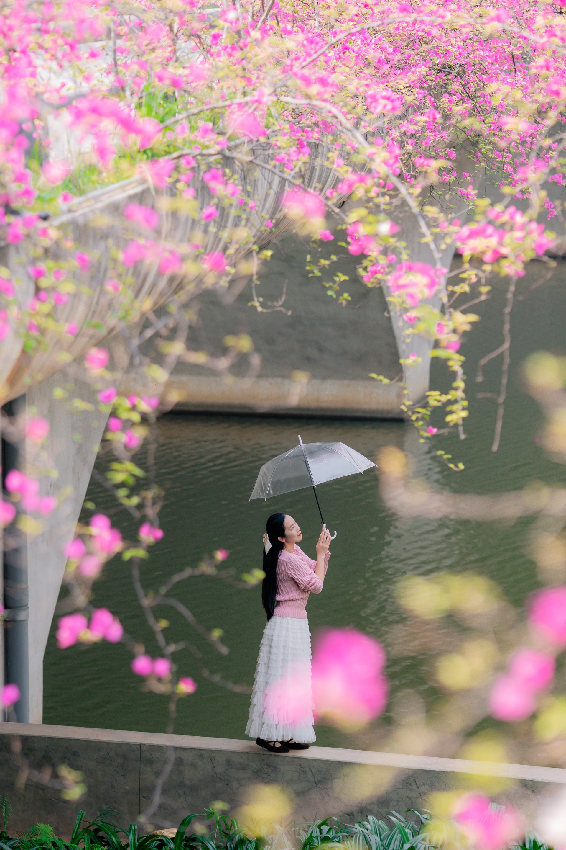 Điểm chụp hoa giấy đẹp như trong tranh gần Hà Nội gây sốt - 4