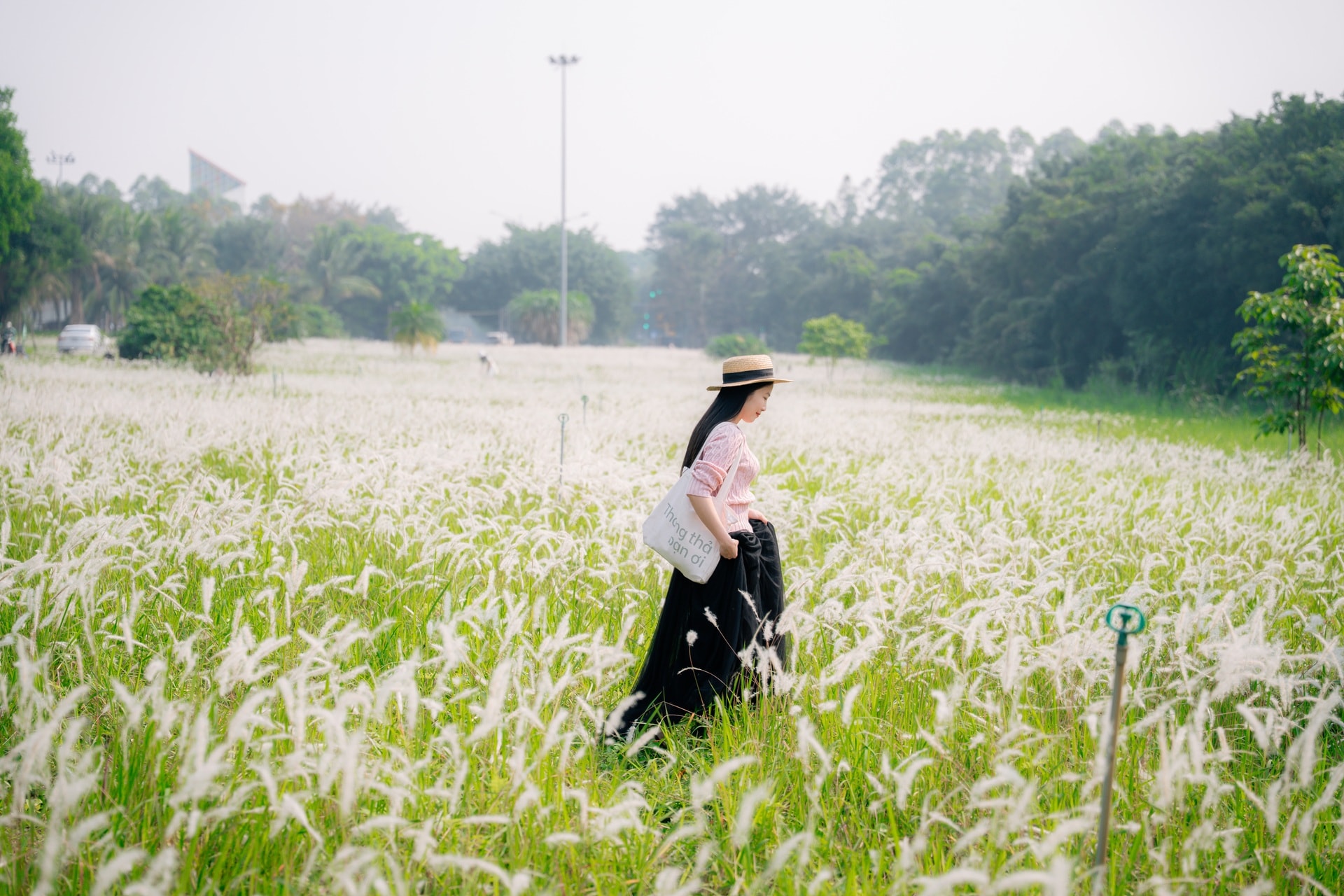 Điểm chụp hoa giấy đẹp như trong tranh gần Hà Nội gây sốt - 9