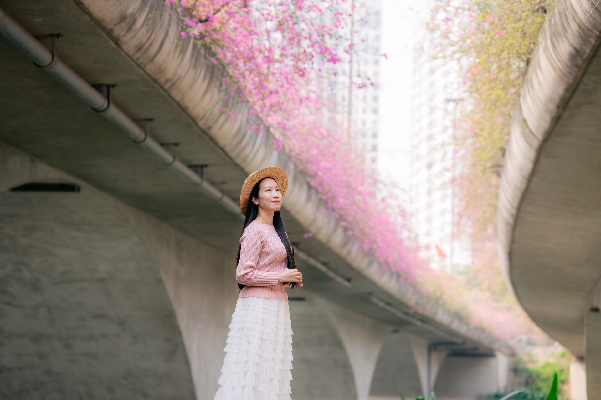 Điểm chụp hoa giấy đẹp như trong tranh gần Hà Nội gây sốt - 2