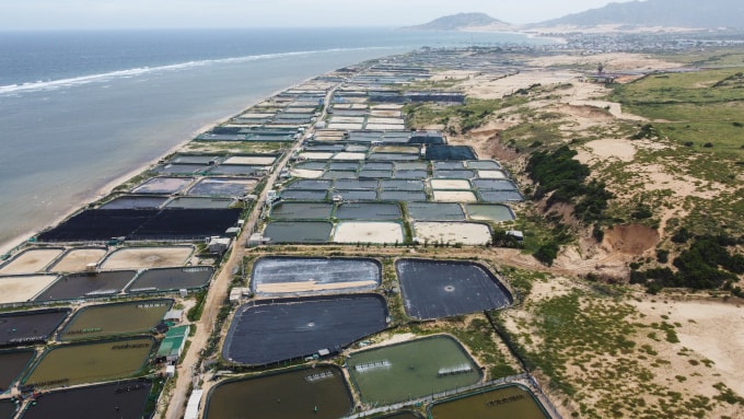 Hiện trạng khu đất làm dự án nhà máy điện hạt nhân Ninh Thuận. Ảnh: Bùi Toàn