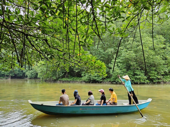 Du khách đi xuồng khám phá hệ sinh thái rừng ngập mặn tại Cần Giờ. Ảnh: Kha Thiên Lộc
