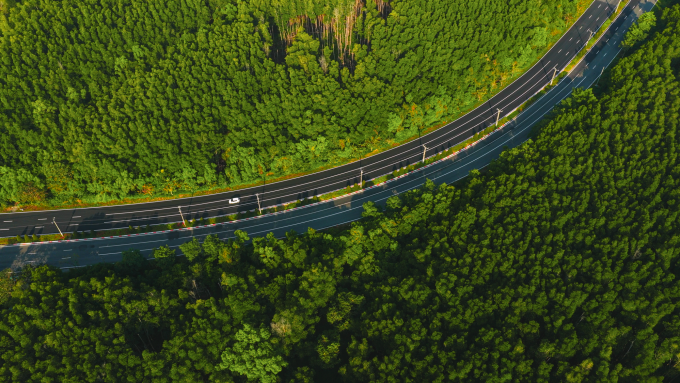 Cần Giờ là điểm đến mới nhất của VnExpress Marathon. Ảnh: Vingroup