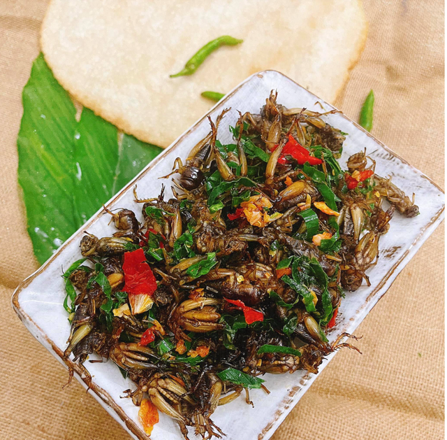 Con đặc sản “xấu xí” xưa không ai ngó, nay thành đặc sản Tây Bắc lạ miệng, dân nhậu mê tít săn lùng - Ảnh 12.