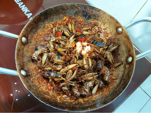 Con đặc sản “xấu xí” xưa không ai ngó, nay thành đặc sản Tây Bắc lạ miệng, dân nhậu mê tít săn lùng - Ảnh 7.