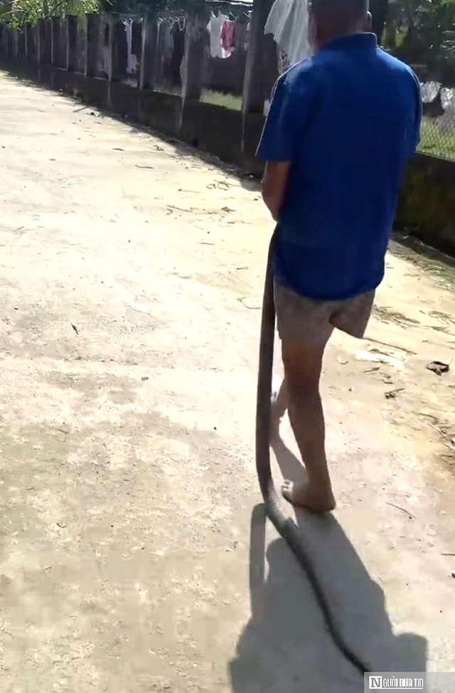 Bất ngờ vụ cụ ông bị hổ mang cắn vẫn cố giữ chặt con rắn: Gia đình nhận hơn 300 triệu, xin ngừng kêu gọi- Ảnh 4.