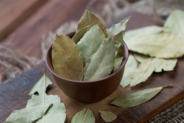 Loại lá dân dã của Việt Nam xưa rụng đầy gốc, nay trời Tây bán giá 2 triệu đồng/kg - Ảnh 3.