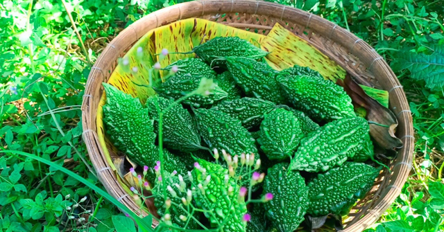 Loại quả xưa rụng đầy gốc nay ví như "vua dưỡng gan" cực tốt cho sức khỏe - Ảnh 1.