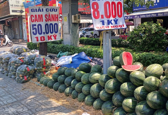 Cam sành, dưa hấu bán trên đường Nguyễn Oanh, phường Gò Vấp (TP HCM) sáng 17/3. Ảnh: Thi Hà