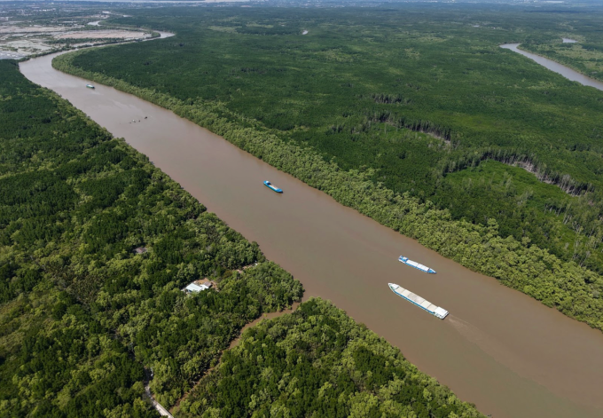 Rừng ngập mặn Cần Giờ nhìn từ trên cao. Ảnh: Thanh Tùng
