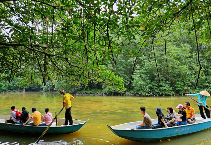 Du khách di chuyển bằng thuyền nhỏ tham quan rừng Sác. Ảnh: Kha Thiên Lộc