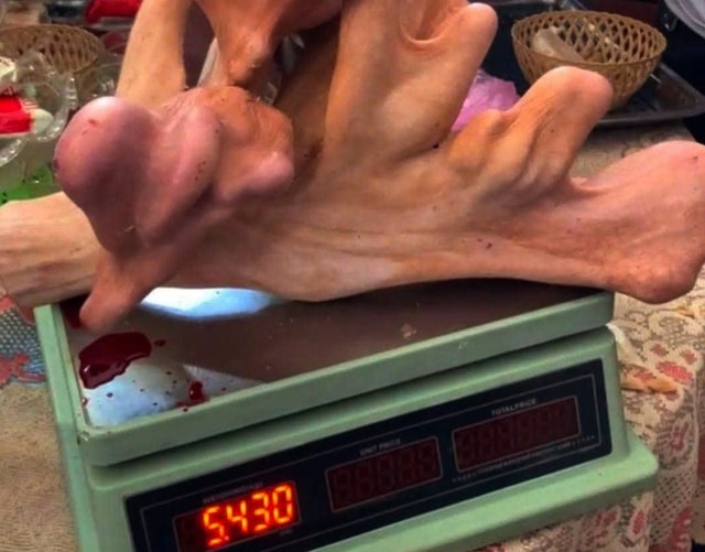 Chìa khóa thoát nghèo từ nghề nuôi con nhiều đốm, “bán lộc” kiếm tiền tỷ ở Hà Tĩnh - Ảnh 2.