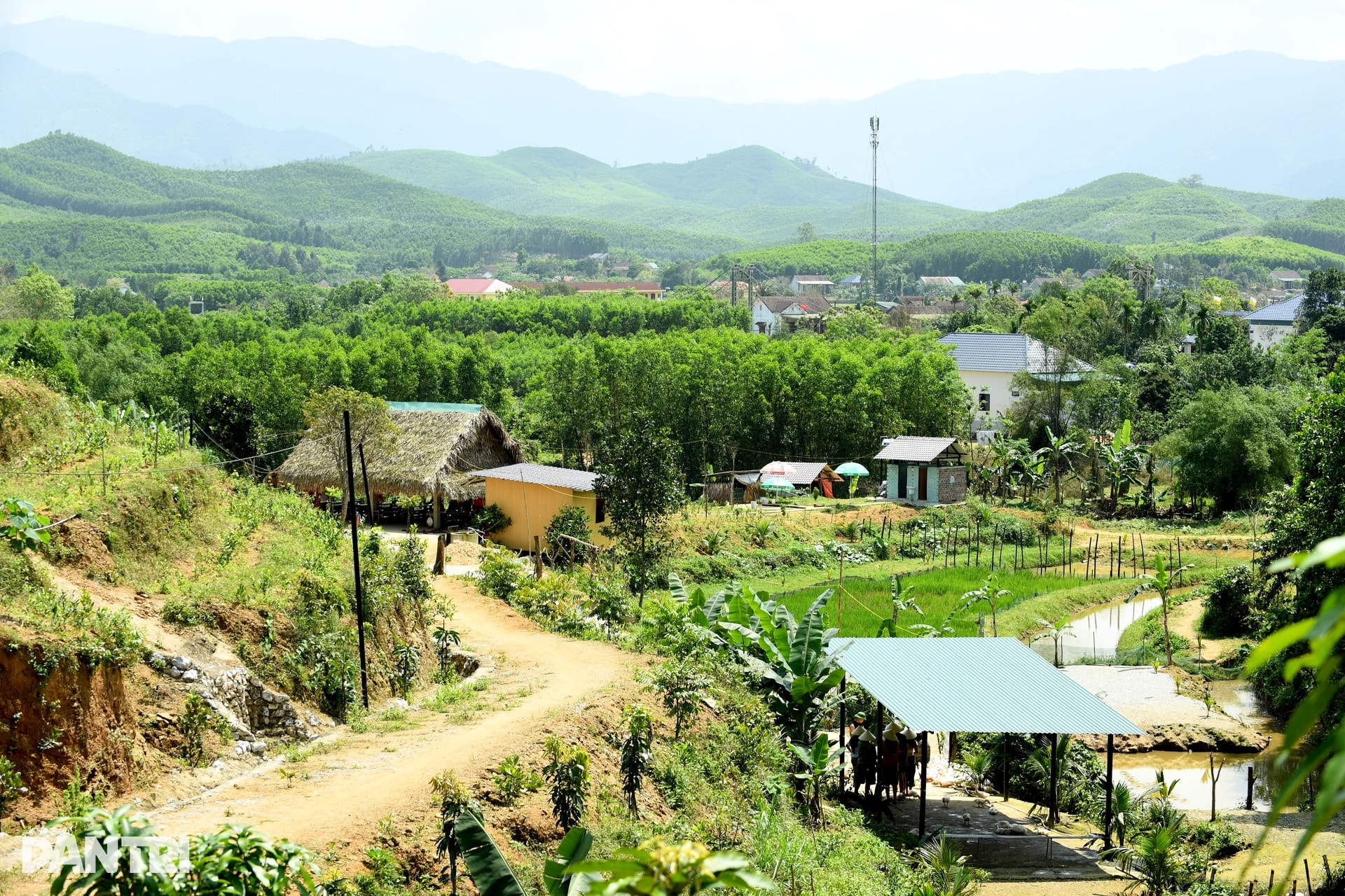 Khách Tây chăn trâu, được vịt massage khi đến Việt Nam du lịch - 2 Khách Tây chăn trâu, được vịt massage khi đến Việt Nam du lịch - 2