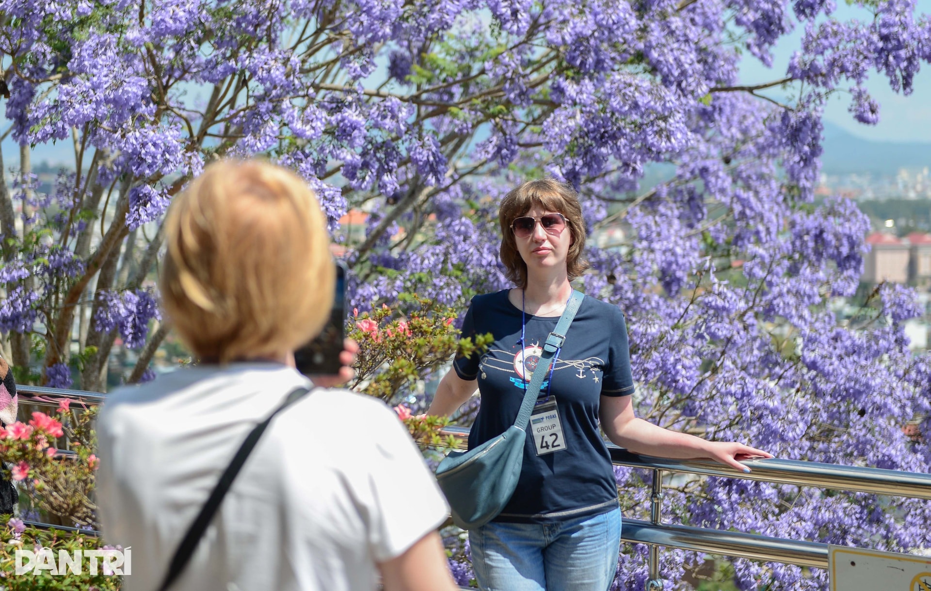 Loài hoa lạ “nhuộm tím” Đà Lạt khiến du khách mê mẩn - 7
