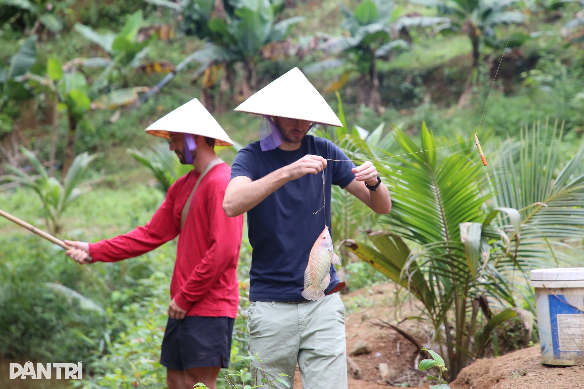 Khách Tây chăn trâu, được vịt massage khi đến Việt Nam du lịch - 9 Khách Tây chăn trâu, được vịt massage khi đến Việt Nam du lịch - 9