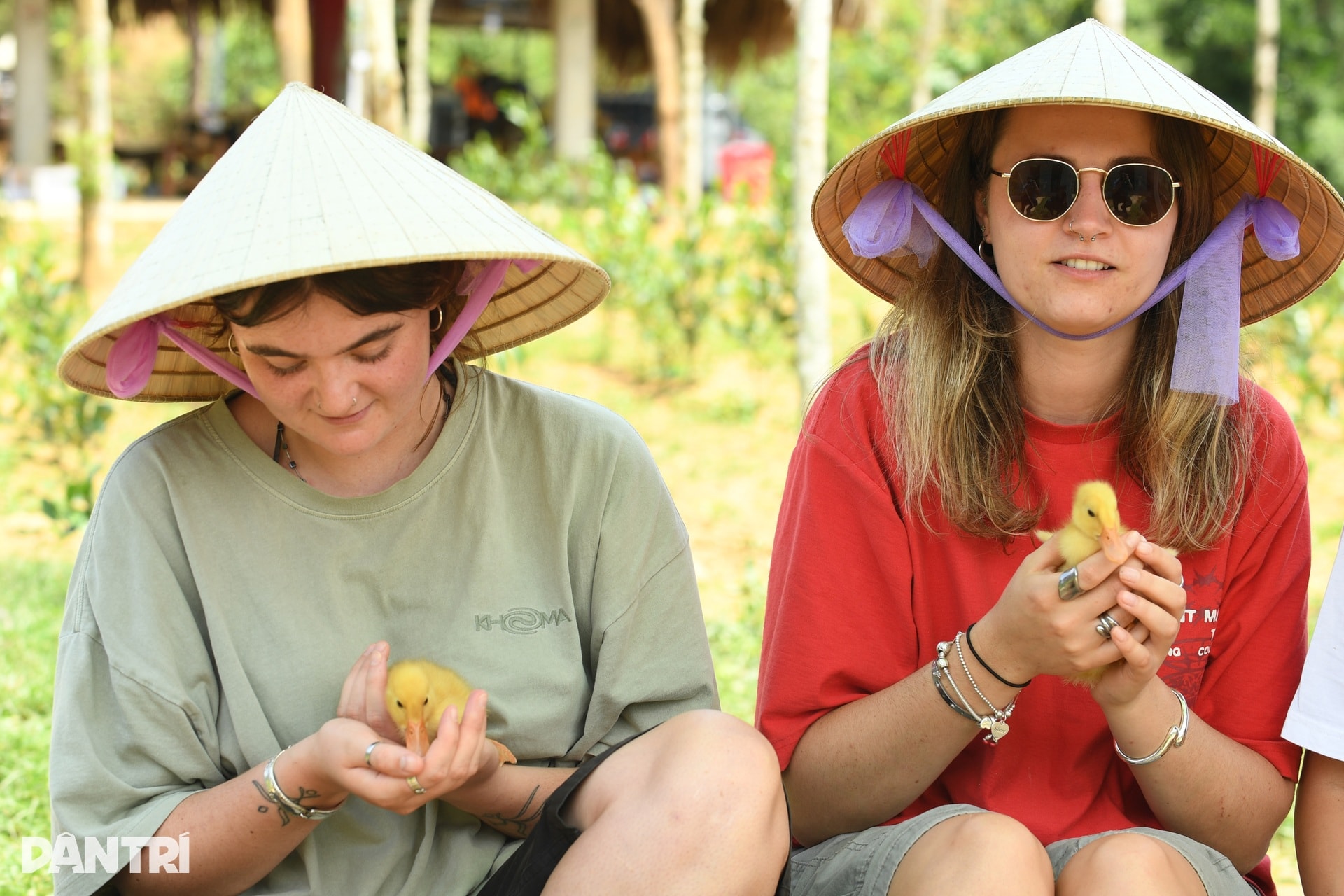 Khách Tây chăn trâu, được vịt massage khi đến Việt Nam du lịch - 7 Khách Tây chăn trâu, được vịt massage khi đến Việt Nam du lịch - 7