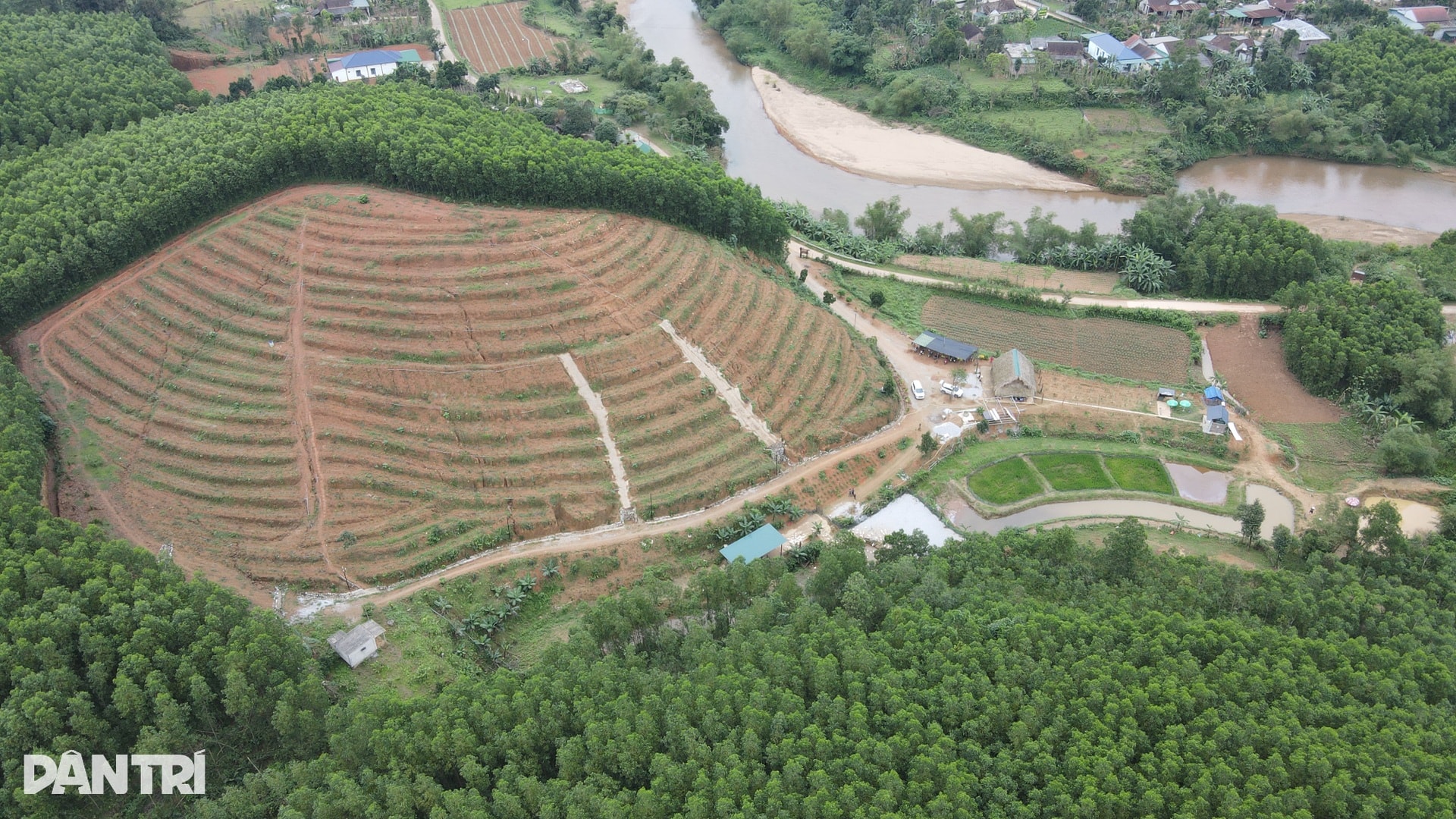 Khách Tây chăn trâu, được vịt massage khi đến Việt Nam du lịch - 1 Khách Tây chăn trâu, được vịt massage khi đến Việt Nam du lịch - 1