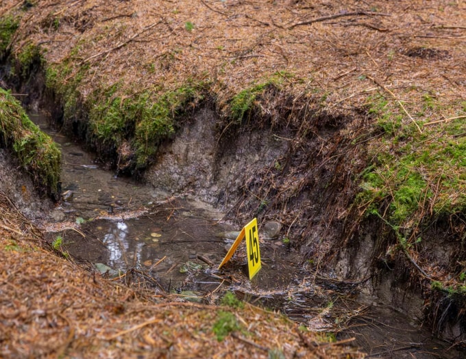 Thi thể Emma Caldwell được phát hiện trong rừng vào một tháng sau khi mất tích. Ảnh: Sun