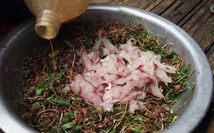 Chàng trai 21 tuổi suýt mất tinh hoàn vì cố chịu đau qua đêm - Ảnh 2.