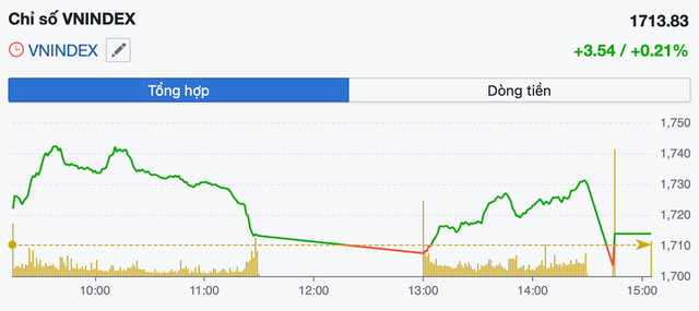 VN-Index rung lắc mạnh, công ty chứng khoán khuyến nghị nhà đầu tư hạn chế dùng đòn bẩy- Ảnh 1.