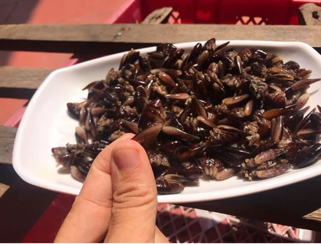 Con "cùng đống" xưa không ai ngó, nay thành đặc sản Tây Bắc đắt đỏ, được dân nhậu mê tít- Ảnh 6.