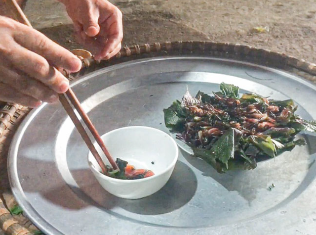 Con "cùng đống" xưa không ai ngó, nay thành đặc sản Tây Bắc đắt đỏ, được dân nhậu mê tít- Ảnh 4.