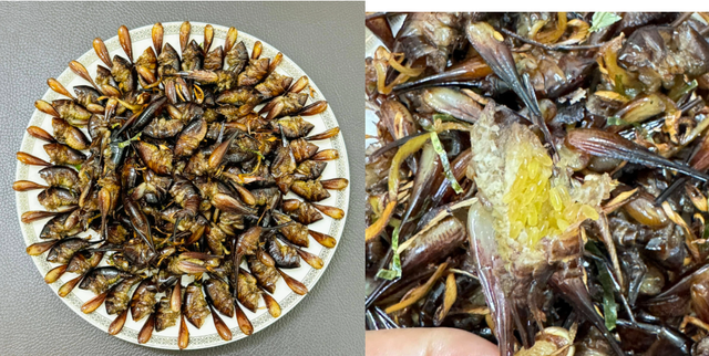 Con "cùng đống" xưa không ai ngó, nay thành đặc sản Tây Bắc đắt đỏ, được dân nhậu mê tít- Ảnh 2.