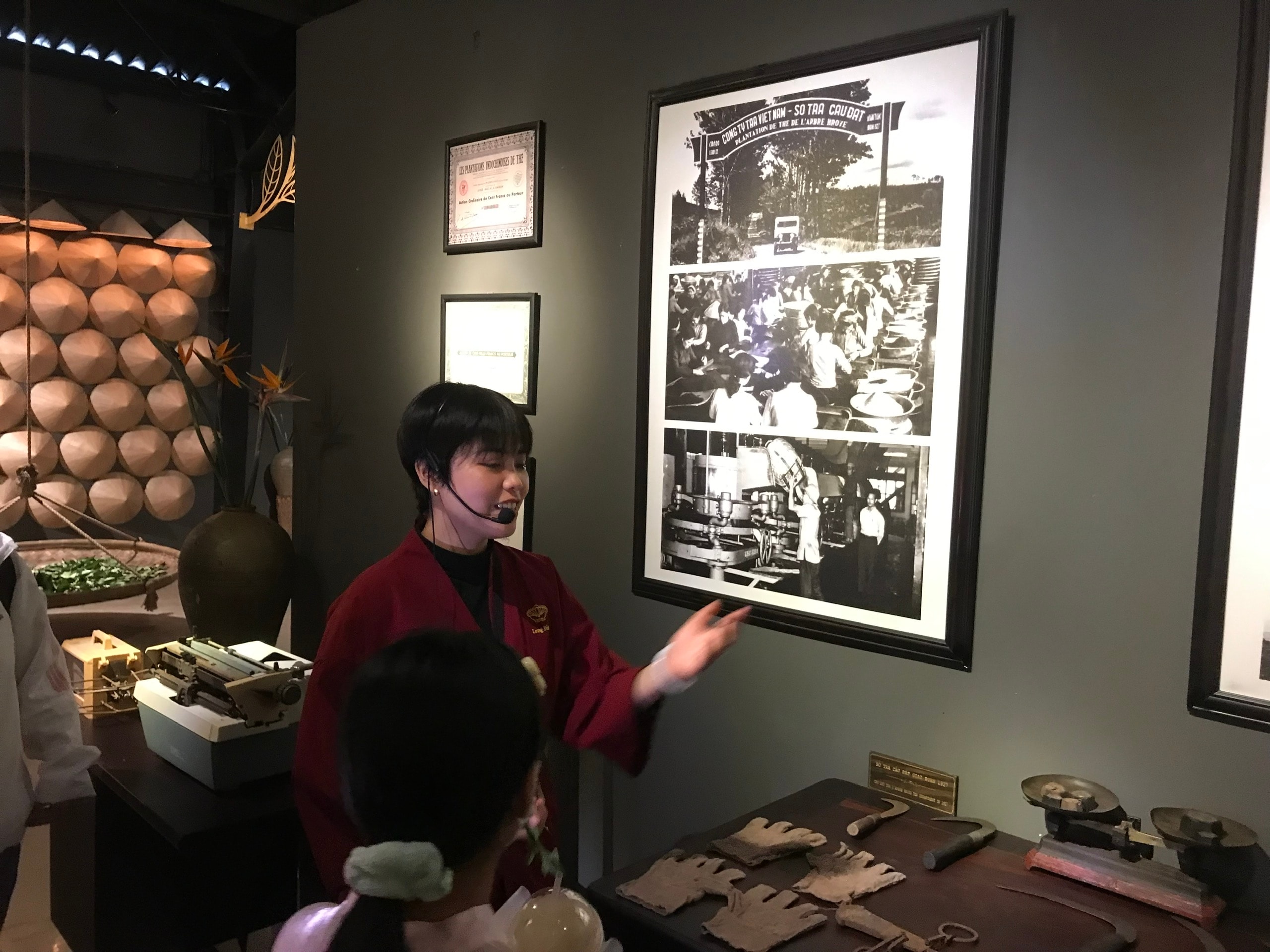 Tham quan Bảo tàng trà Long Đỉnh ở Đà Lạt: Khám phá văn hóa trà Việt Nam - Ảnh 1.