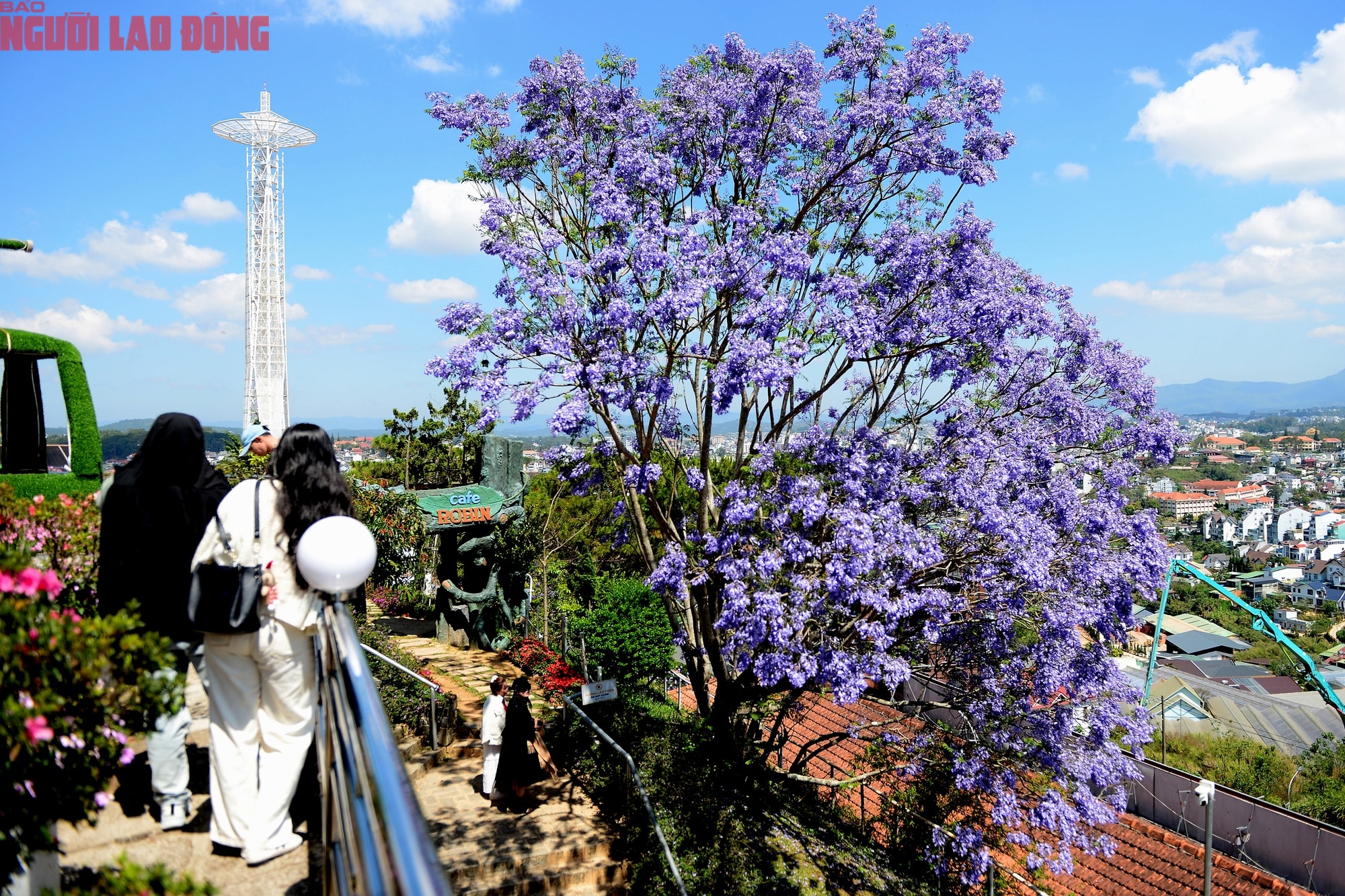 Phượng tím bung nở, Đà Lạt nên thơ hơn bất kì nơi nào khác - Ảnh 11.