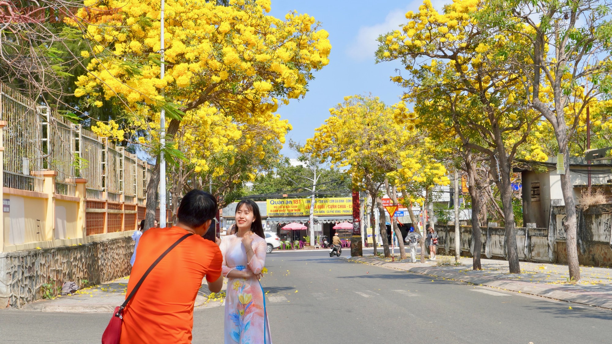 Vũng Tàu "nhuộm vàng" mùa hoa phong linh, du khách rộn ràng check-in - Ảnh 7.