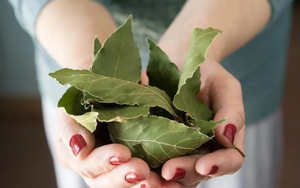 Chàng trai 21 tuổi suýt mất tinh hoàn vì cố chịu đau qua đêm - Ảnh 4.