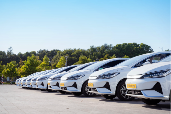 Dàn xe BYD M6 phục vụ vận tải hành khách. Ảnh: BYD