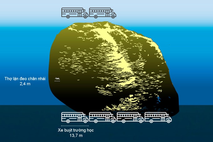 So sánh kích thước của cụm san hô Porites rus ở đảo Maug với thợ lặn và xe buýt. Ảnh: NOAA