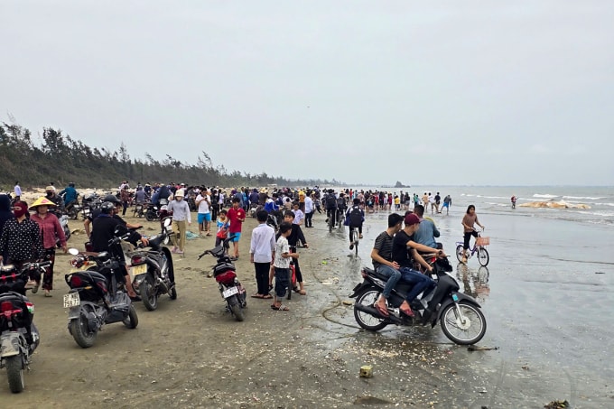 Nhiều người dân địa phương tập trung tại bờ biển xem nhà chức trách kéo cá voi vào bờ chôn cất, trưa 20/3. Ảnh: Hùng Lê