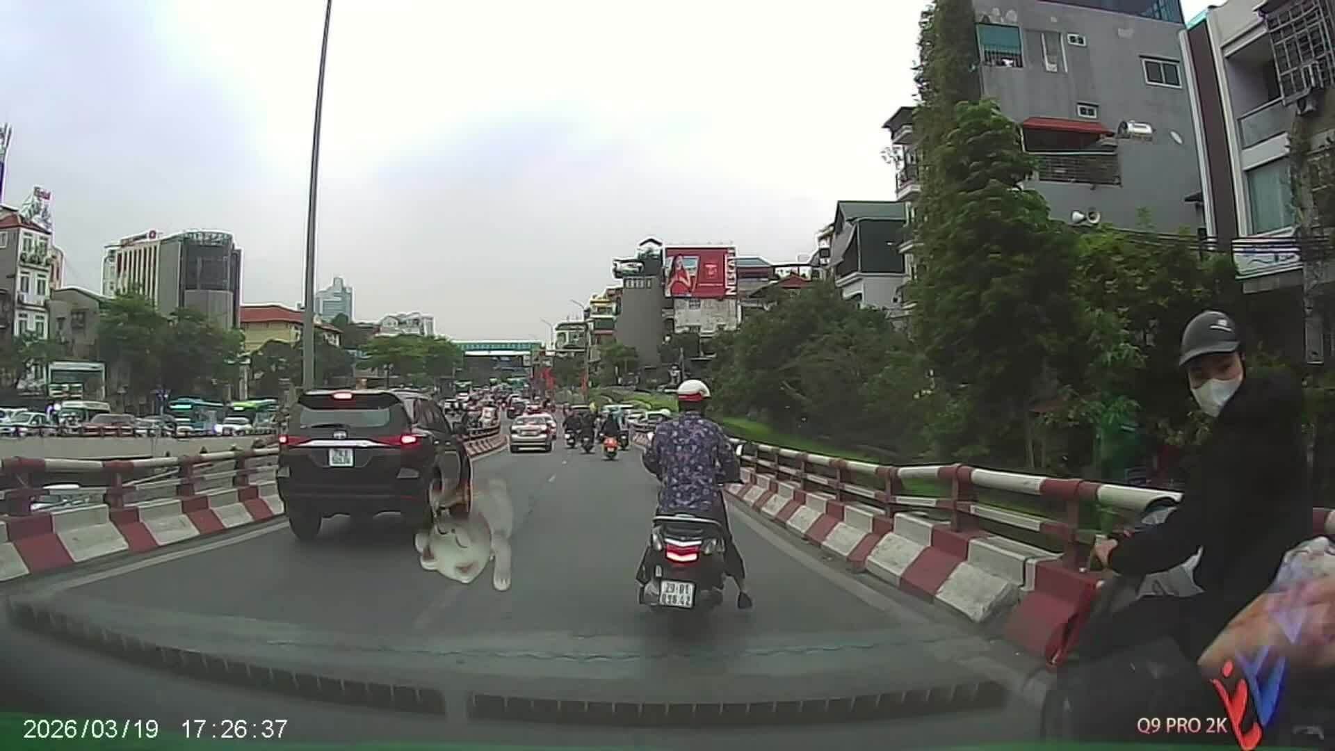 Ôtô húc đuôi xe máy bất ngờ phanh gấp