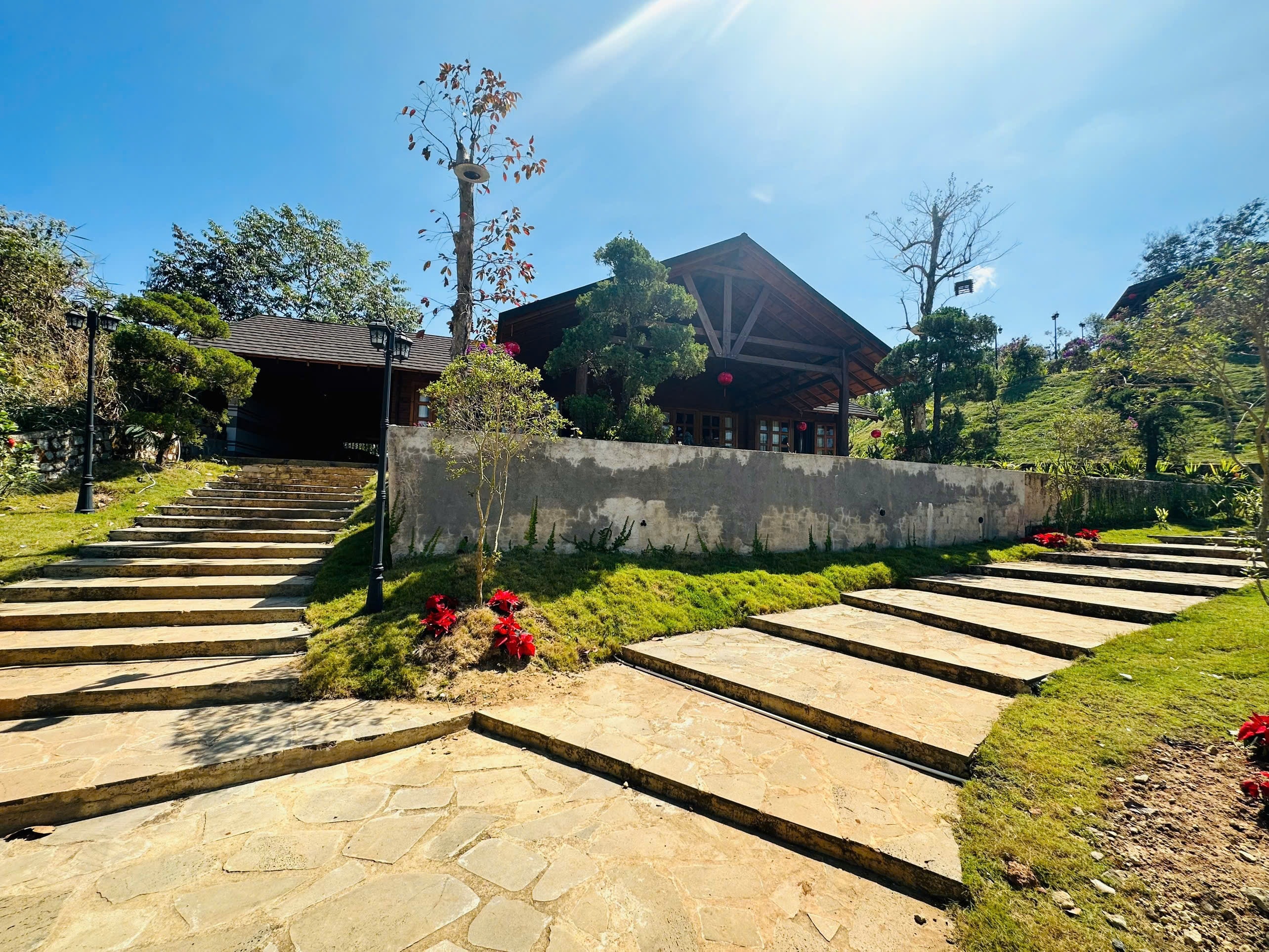 hoàng mập ảnh 1 hoang map anh 1