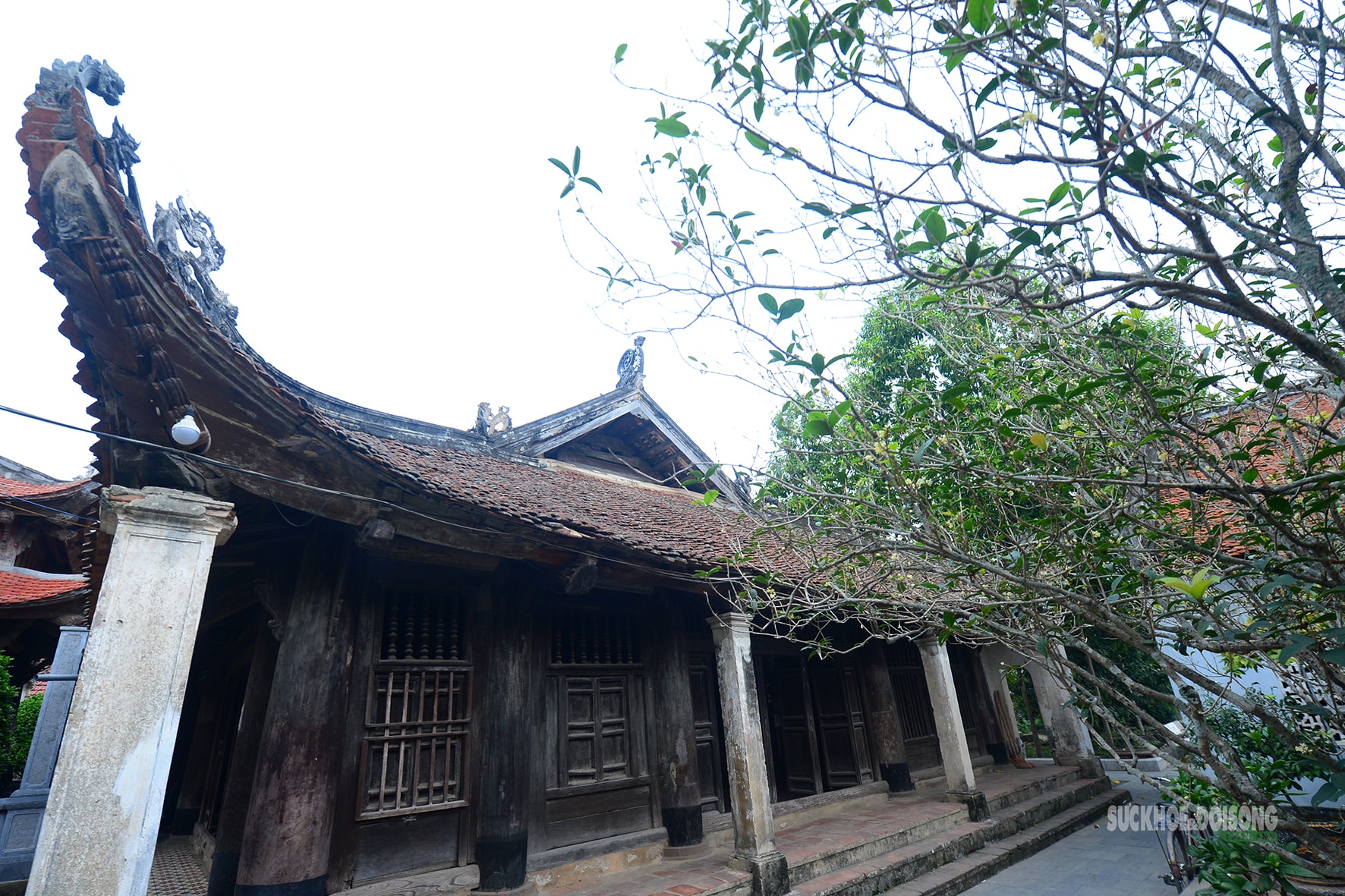 Ngôi đình cổ lưu giữ tinh hoa điêu khắc và ký ức Vua Hùng- Ảnh 8.